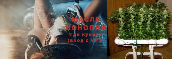 гашик Алексеевка