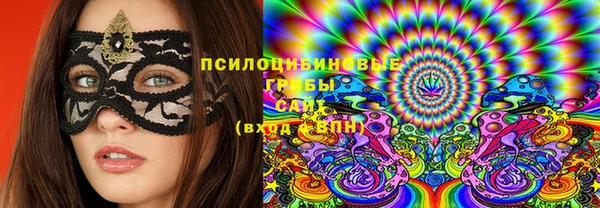 гашик Алексеевка