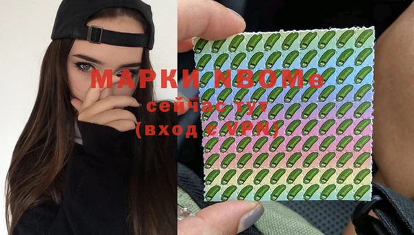 гашик Алексеевка