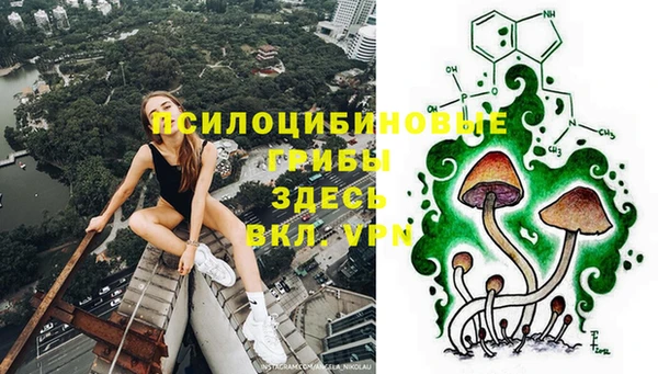 тгк Алексин