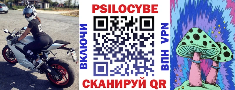 Псилоцибиновые грибы Psilocybe  магазин продажи   Новоалександровск 