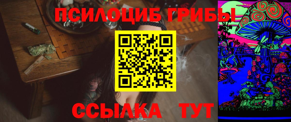Галлюциногенные грибы MAGIC MUSHROOMS  Вход с VPN  Новоалександровск 