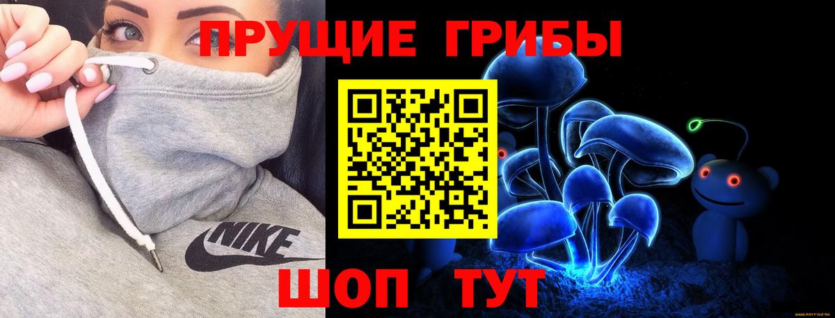Псилоцибиновые грибы Psilocybe Новоалександровск